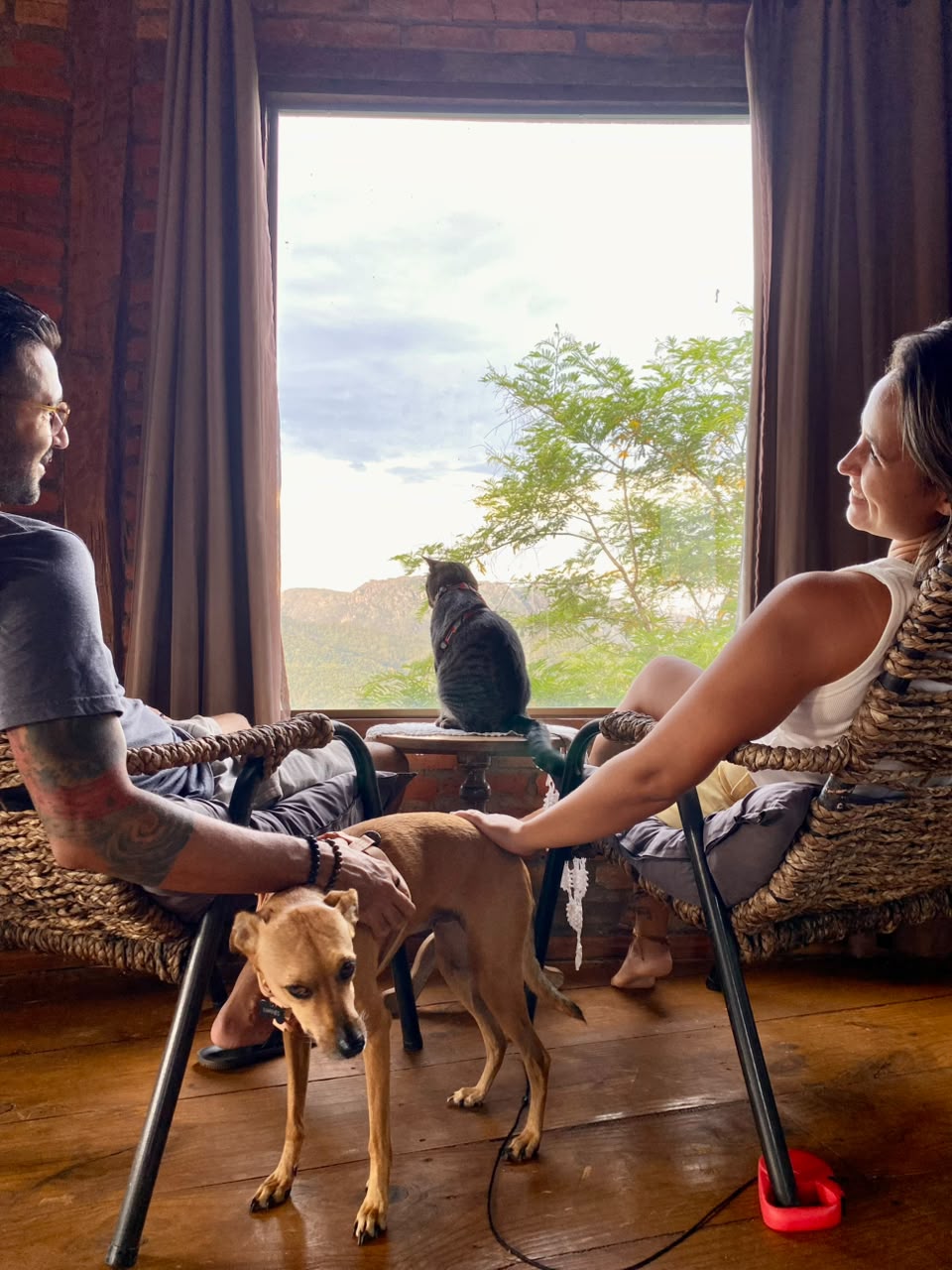 Daniel, Ana, o gato Sivuca e a cachorrinha Mari em frente à antiga Kombi Home
